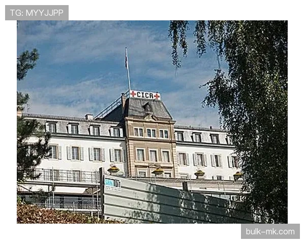 瑞士球迷展示红十字标志表达国家认同 瑞士球迷展示红十字标志表达国家认同